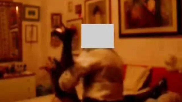 Nagy nagy faszu sex ember nagy vásárlás a fekete nő