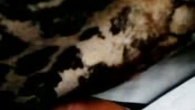 Dolgozni, kedves krasznai tünde pornó emberek, hosszú utat tettek meg