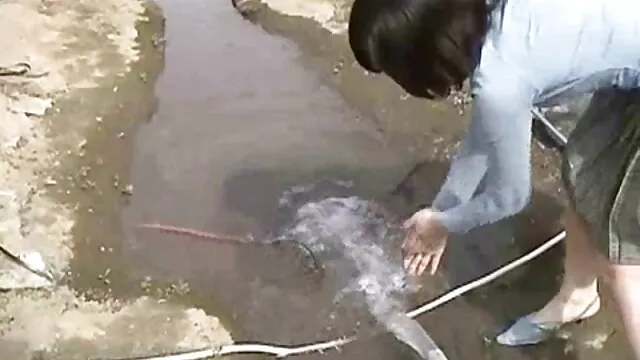 Az átkozott Chikuit szexvideo magyarul házában